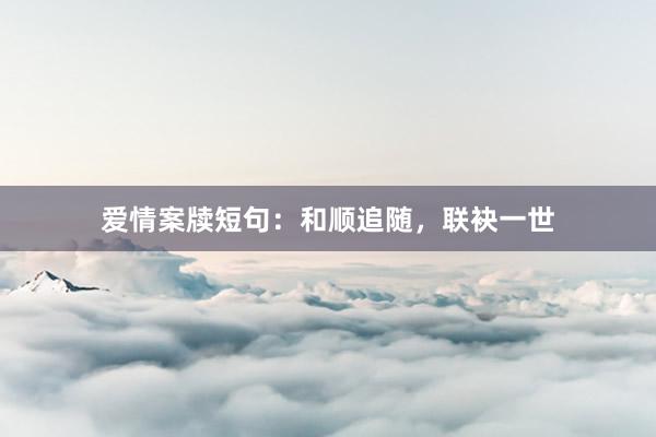 爱情案牍短句：和顺追随，联袂一世