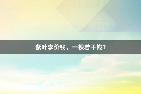 紫叶李价钱，一棵若干钱？