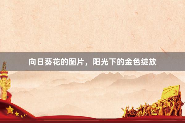 向日葵花的图片，阳光下的金色绽放