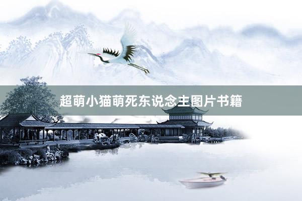 超萌小猫萌死东说念主图片书籍