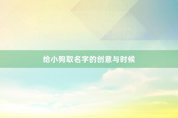 给小狗取名字的创意与时候